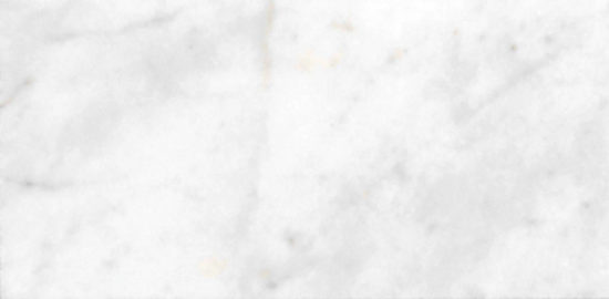 Bianco Venatino Honed 3X6
