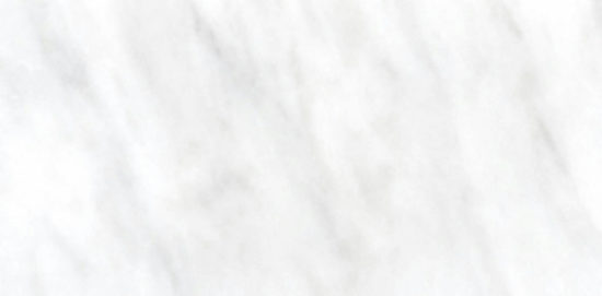 Bianco Venatino Polish 3X6 | Glens Falls Tile & Supplies