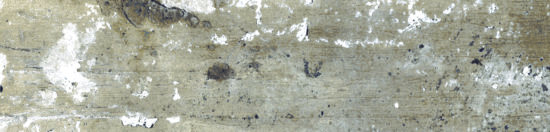 Brix 2x10 Mud | Glens Falls Tile & Supplies