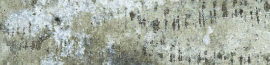 Brix 2x10 Mud | Glens Falls Tile & Supplies