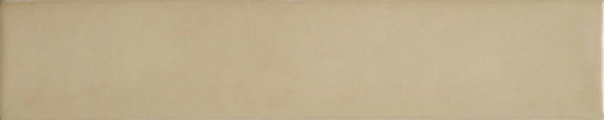 Cappuccino Mix 2X10 | Glens Falls Tile & Supplies