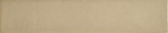 Cappuccino Mix 2X10 | Glens Falls Tile & Supplies