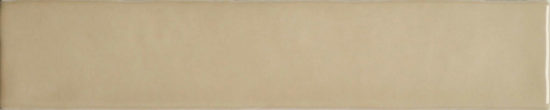 Cappuccino Mix 2X10 | Glens Falls Tile & Supplies