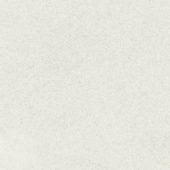 Concord 13X13F Dawn Matte | Glens Falls Tile & Supplies