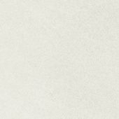 Concord 13X13F Dawn Matte | Glens Falls Tile & Supplies