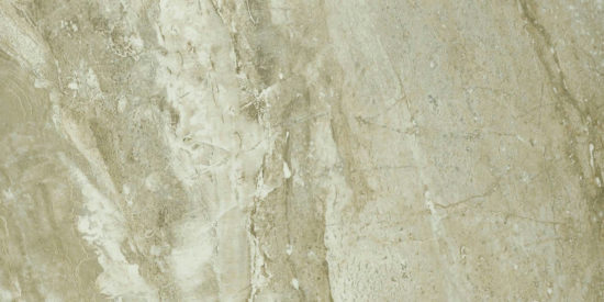 Congo 12X24 | Glens Falls Tile & Supplies