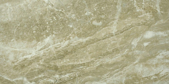 Congo 12X24 | Glens Falls Tile & Supplies