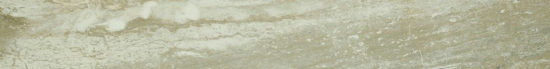 Congo 3X24 Sb | Glens Falls Tile & Supplies