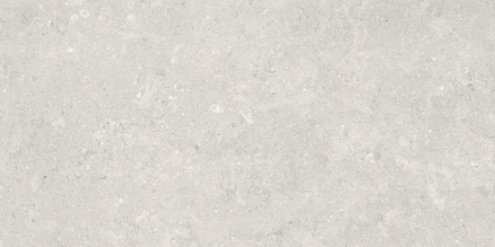 Denver 12X24F Desert Matte | Glens Falls Tile & Supplies