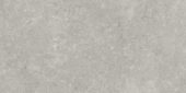 Denver 12X24F Graphite Matte | Glens Falls Tile & Supplies