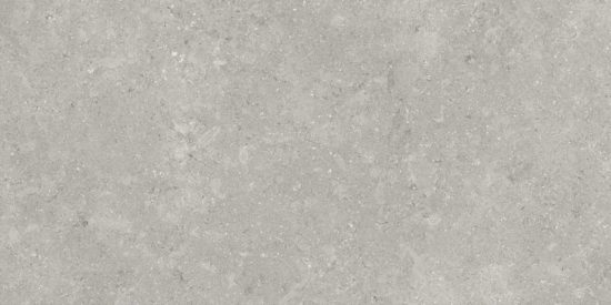 Denver 12X24F Graphite Matte | Glens Falls Tile & Supplies