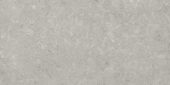 Denver 12X24F Graphite Matte | Glens Falls Tile & Supplies