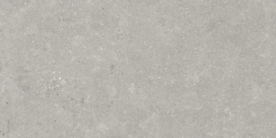 Denver 12X24F Graphite Matte | Glens Falls Tile & Supplies