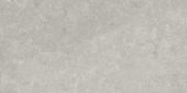 Denver 12X24F Graphite Matte | Glens Falls Tile & Supplies