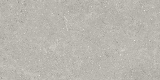 Denver 12X24F Graphite Matte | Glens Falls Tile & Supplies