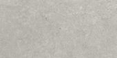 Denver 12X24F Graphite Matte | Glens Falls Tile & Supplies
