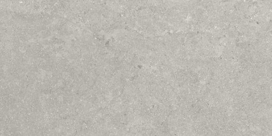 Denver 12X24F Graphite Matte | Glens Falls Tile & Supplies