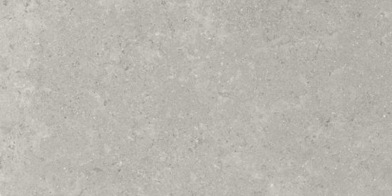 Denver 12X24F Graphite Matte | Glens Falls Tile & Supplies