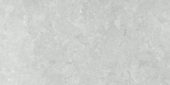 Denver 12X24F Platinum Matte | Glens Falls Tile & Supplies