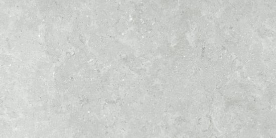 Denver 12X24F Platinum Matte | Glens Falls Tile & Supplies