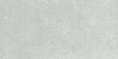 Denver 12X24F Platinum Matte | Glens Falls Tile & Supplies