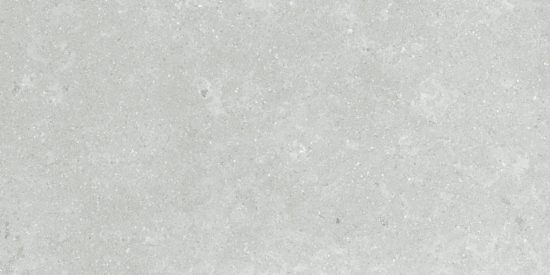 Denver 12X24F Platinum Matte | Glens Falls Tile & Supplies