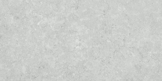 Denver 12X24F Platinum Matte | Glens Falls Tile & Supplies