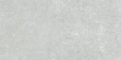 Denver 12X24F Platinum Matte | Glens Falls Tile & Supplies