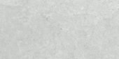 Denver 12X24F Platinum Matte | Glens Falls Tile & Supplies