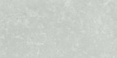 Denver 12X24F Platinum Matte | Glens Falls Tile & Supplies