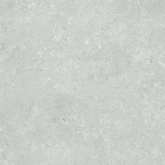 Denver 20X20F Platinum Matte | Glens Falls Tile & Supplies