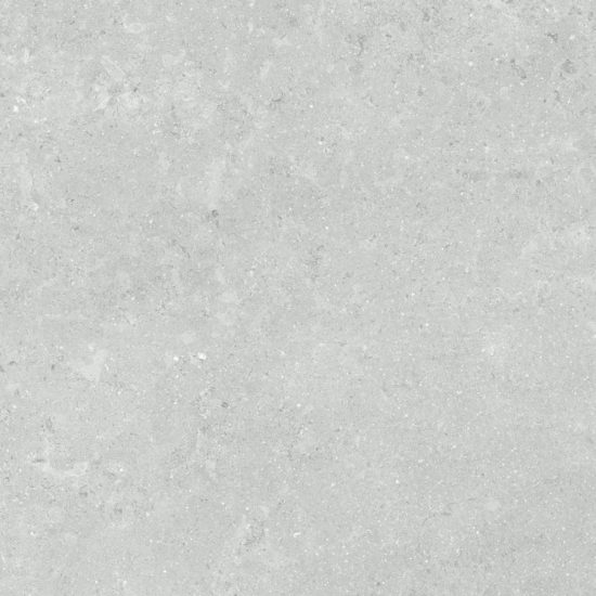 Denver 20X20F Platinum Matte | Glens Falls Tile & Supplies