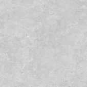 Denver 20X20F Platinum Matte | Glens Falls Tile & Supplies