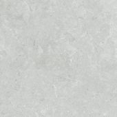 Denver 20X20F Platinum Matte | Glens Falls Tile & Supplies