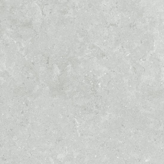 Denver 20X20F Platinum Matte | Glens Falls Tile & Supplies
