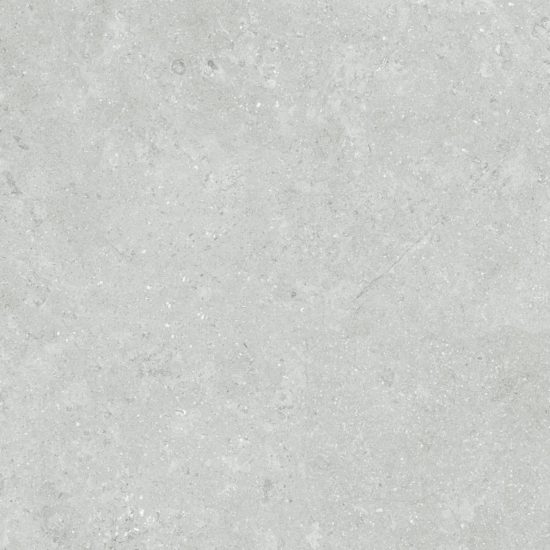 Denver 20X20F Platinum Matte | Glens Falls Tile & Supplies