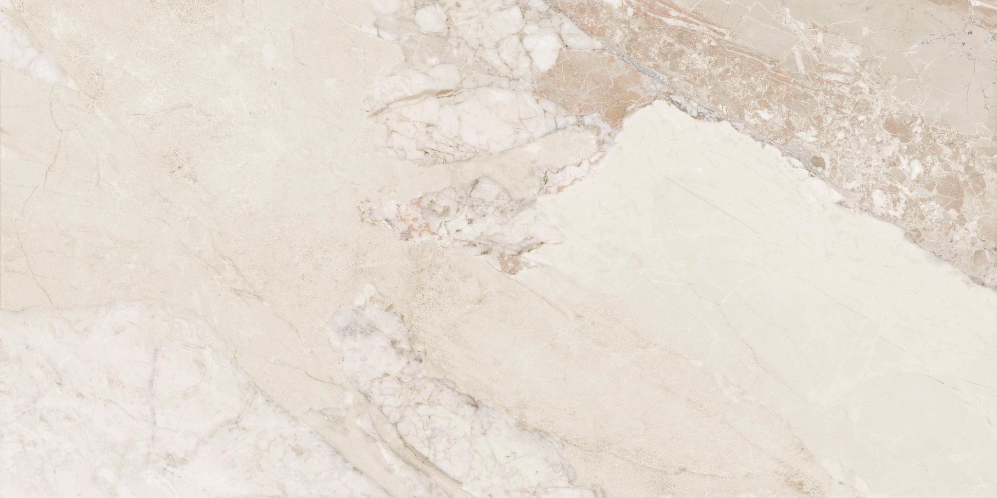 Dynasty Almond 12X24