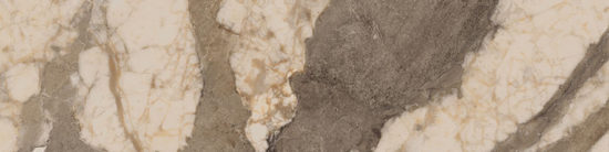 Dynasty Taupe 3X12 Bullnose | Glens Falls Tile & Supplies