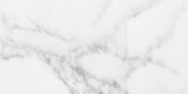 Florence 12X24F Bianco Matte | Glens Falls Tile & Supplies