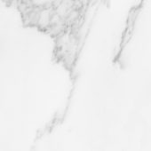Florence 13X13F Bianco Matte | Glens Falls Tile & Supplies