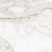 Florence 13X13F Calacatta Matte | Glens Falls Tile & Supplies