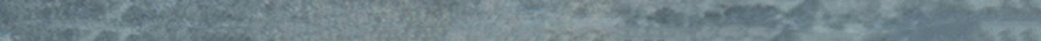 Lisbon 0.39X9” Blue Trim | Glens Falls Tile & Supplies