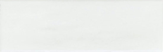 Lisbon 2x6" White | Glens Falls Tile & Supplies