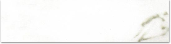 Matte 3X12 Adoration Bullnose | Glens Falls Tile & Supplies