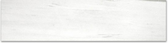 Matte 3X12 Devotion Bullnose | Glens Falls Tile & Supplies