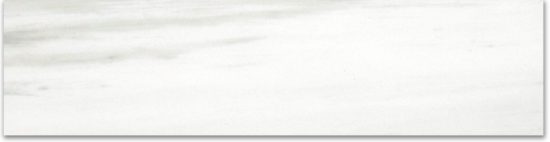 Matte 3X12 Devotion Bullnose | Glens Falls Tile & Supplies