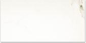 Matte Adoration 12X24 | Glens Falls Tile & Supplies