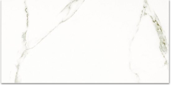 Matte Adoration 16X32 | Glens Falls Tile & Supplies