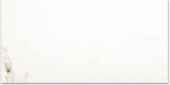 Matte Adoration 16X32 | Glens Falls Tile & Supplies