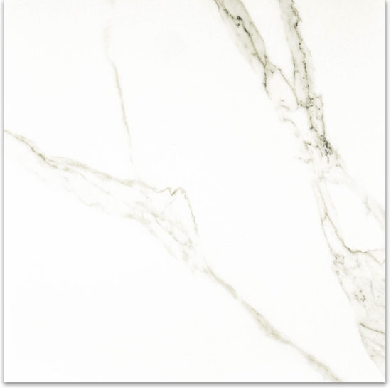Matte Adoration 24X24 | Glens Falls Tile & Supplies